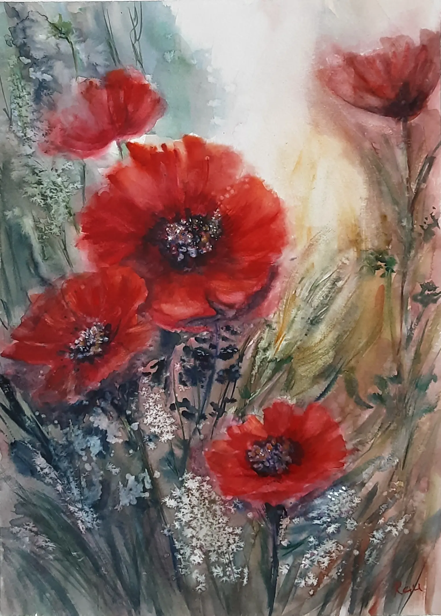 Vlčí mak. akvarel. 30x40